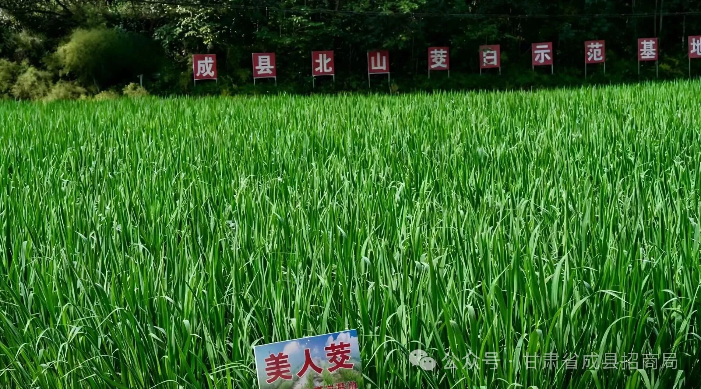 1761703622846871.jpg 微信图片_2025-10-29_100607_559.jpg