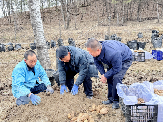 1772590036100560.png 微信图片_2026-03-04_100422_189.png