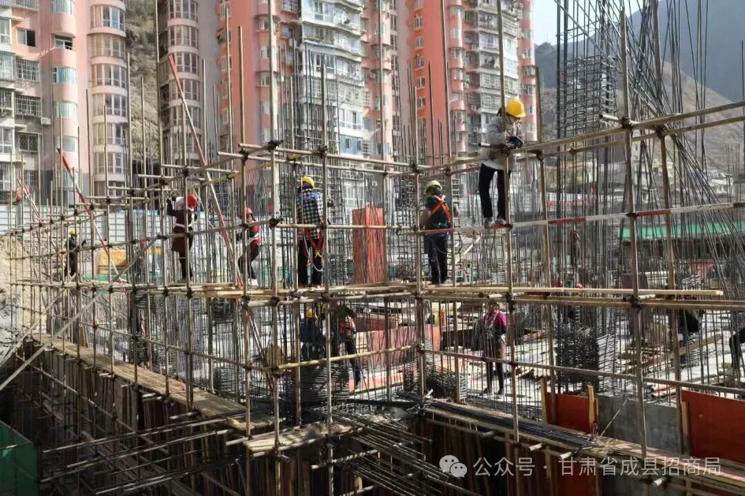 1772590528259778.jpg 微信图片_2026-03-04_101241_005.jpg